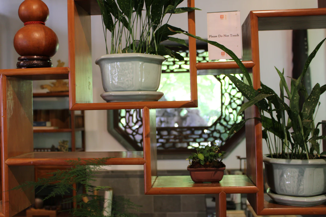 Espacio de hogar armonizado con plantas, madera y luz natural según principios de feng shui